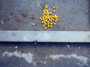 Yellow Puffs