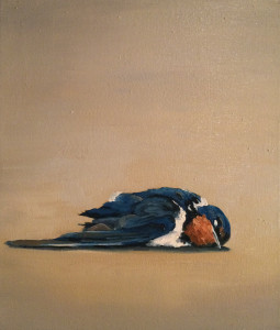 Dead Swallow